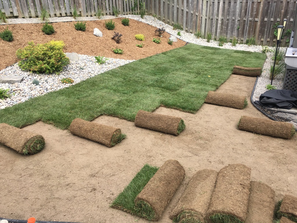 Proces układania trawy z rolki na przygotowanym terenie z elementami zagospodarowania ogrodu, takimi jak kora, kamienie i krzewy.