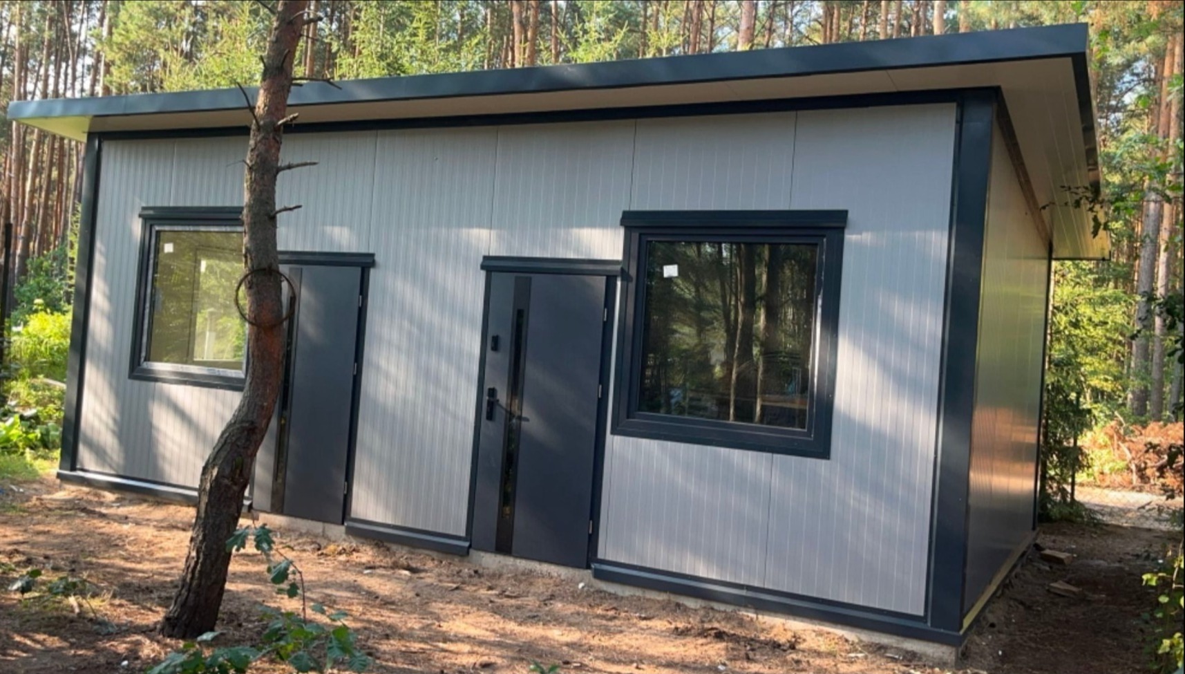 Gotowa hala z płyt warstwowych z ciemnymi oknami i drzwiami, otoczona lasem, z młodym drzewem na pierwszym planie.