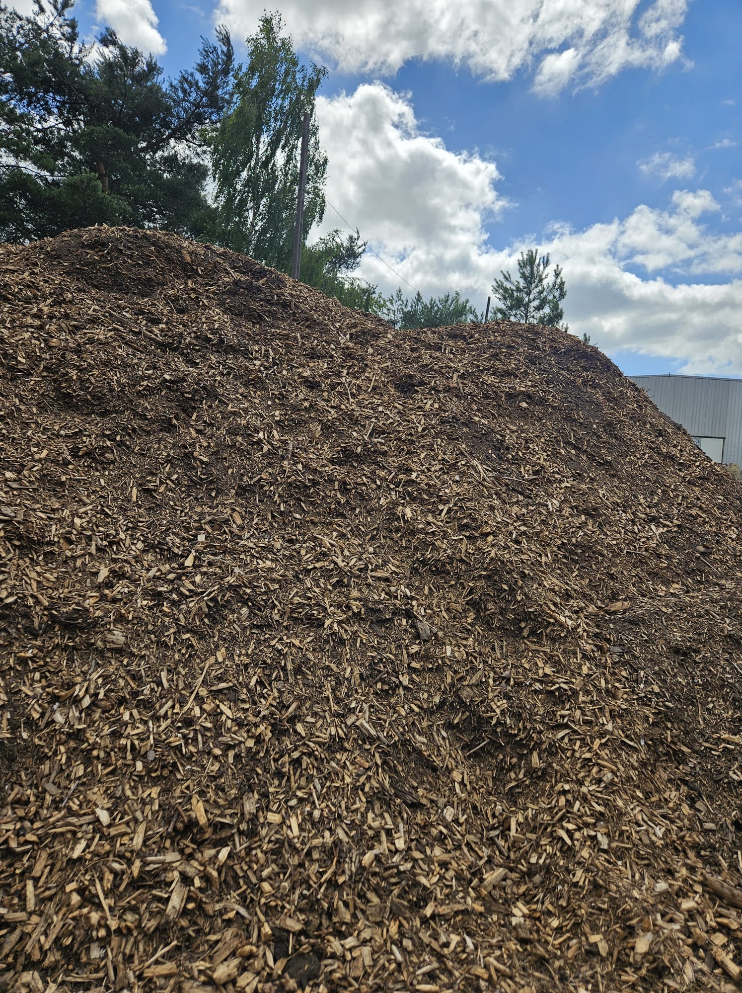 Duża pryzma brązowych zrębków drzewnych na tle błękitnego nieba z białymi chmurami i zarysem drzew, z widocznym fragmentem metalowego budynku w oddali.