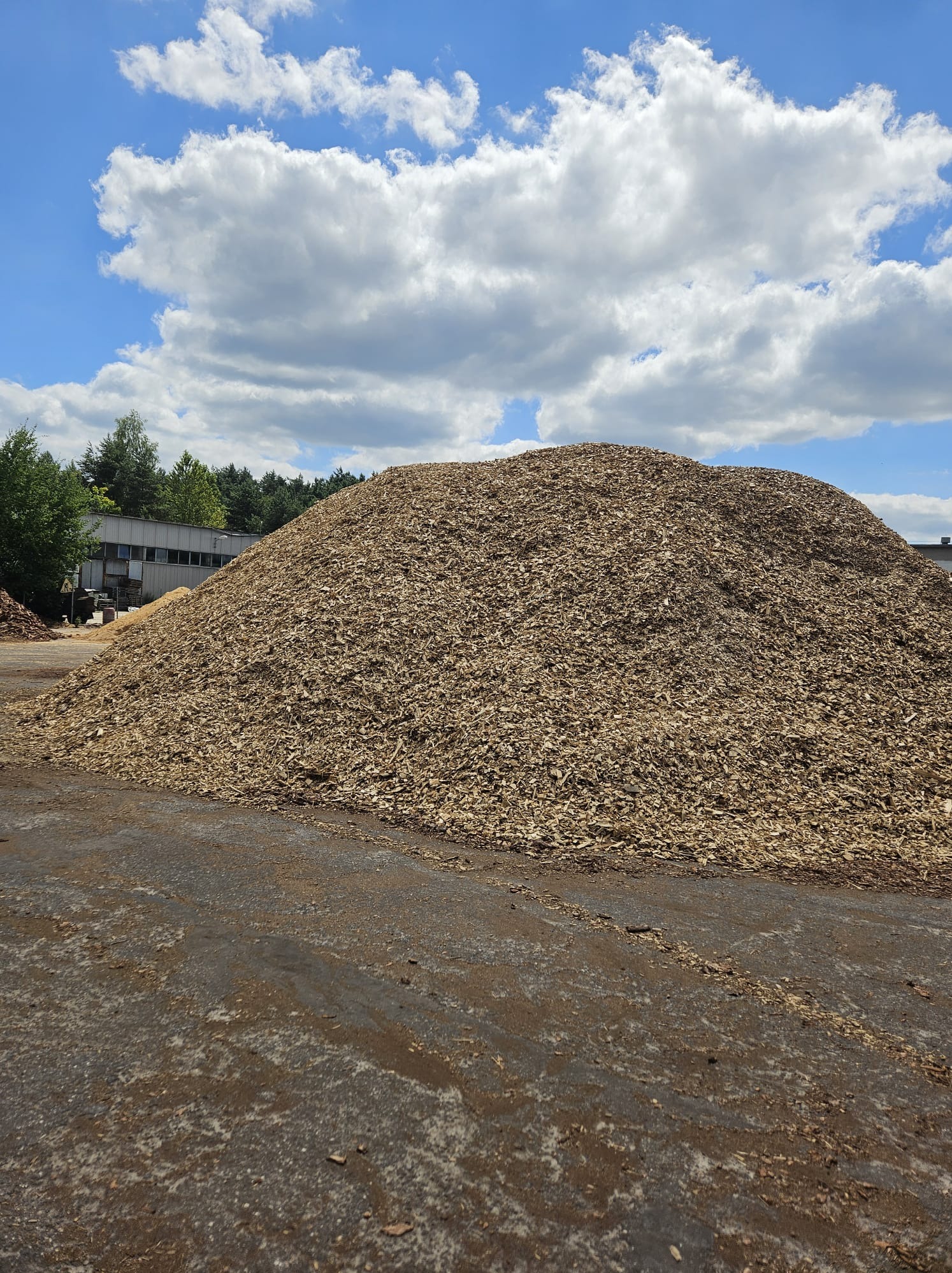 Duża pryzma zrębków drzewnych na placu składowym, widoczne budynki w tle oraz błękitne niebo z chmurami.