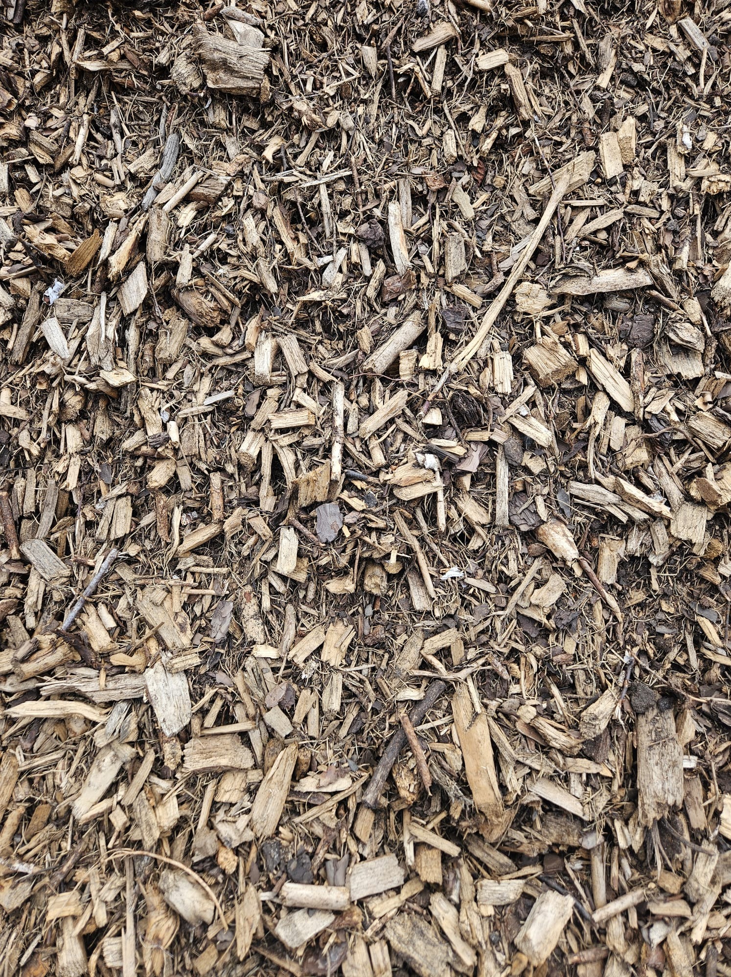 Detaliczne ujęcie z góry na warstwę zrębków drzewnych o zróżnicowanej wielkości i kształcie, z widocznymi drobnymi gałązkami i korą, tworzącymi naturalną teksturę.