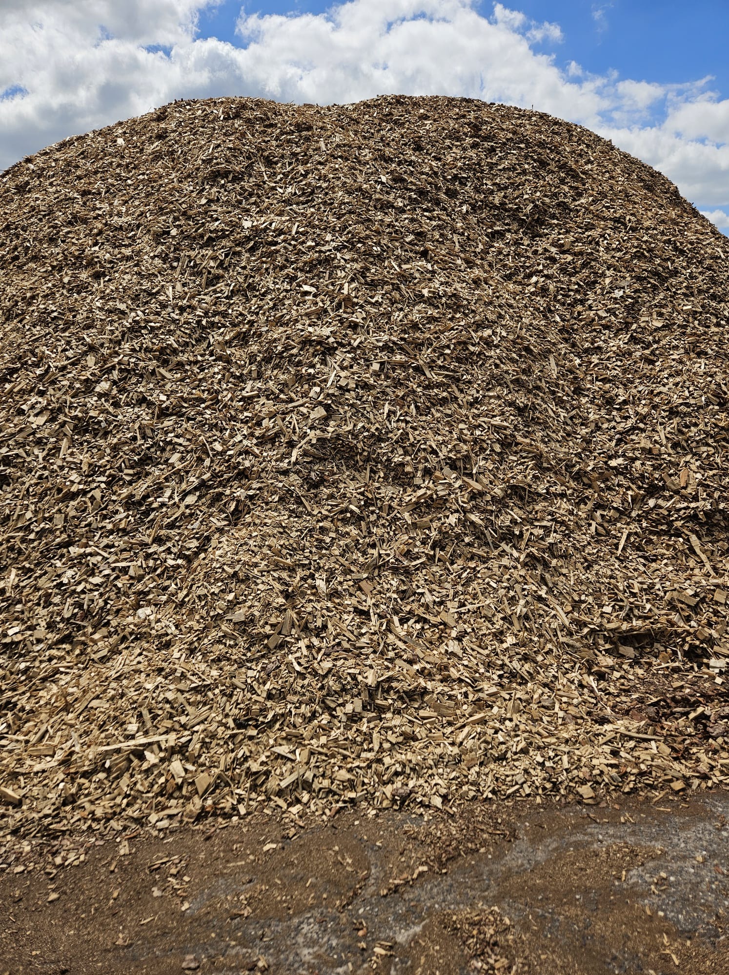 Góra zrębków drzewnych pod błękitnym niebem z chmurami, widoczne różne odcienie brązu i beżu, faktura nieregularna.