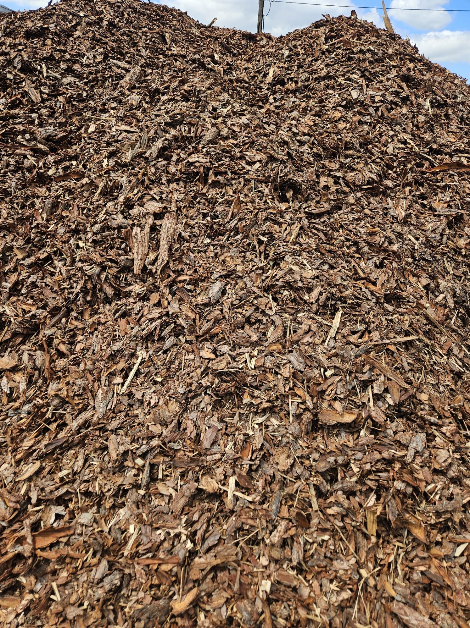 Duża pryzma brązowych trocin i zrębków drzewnych z widocznymi fragmentami kory, ułożona w stożek na zewnątrz, pod błękitnym niebem.
