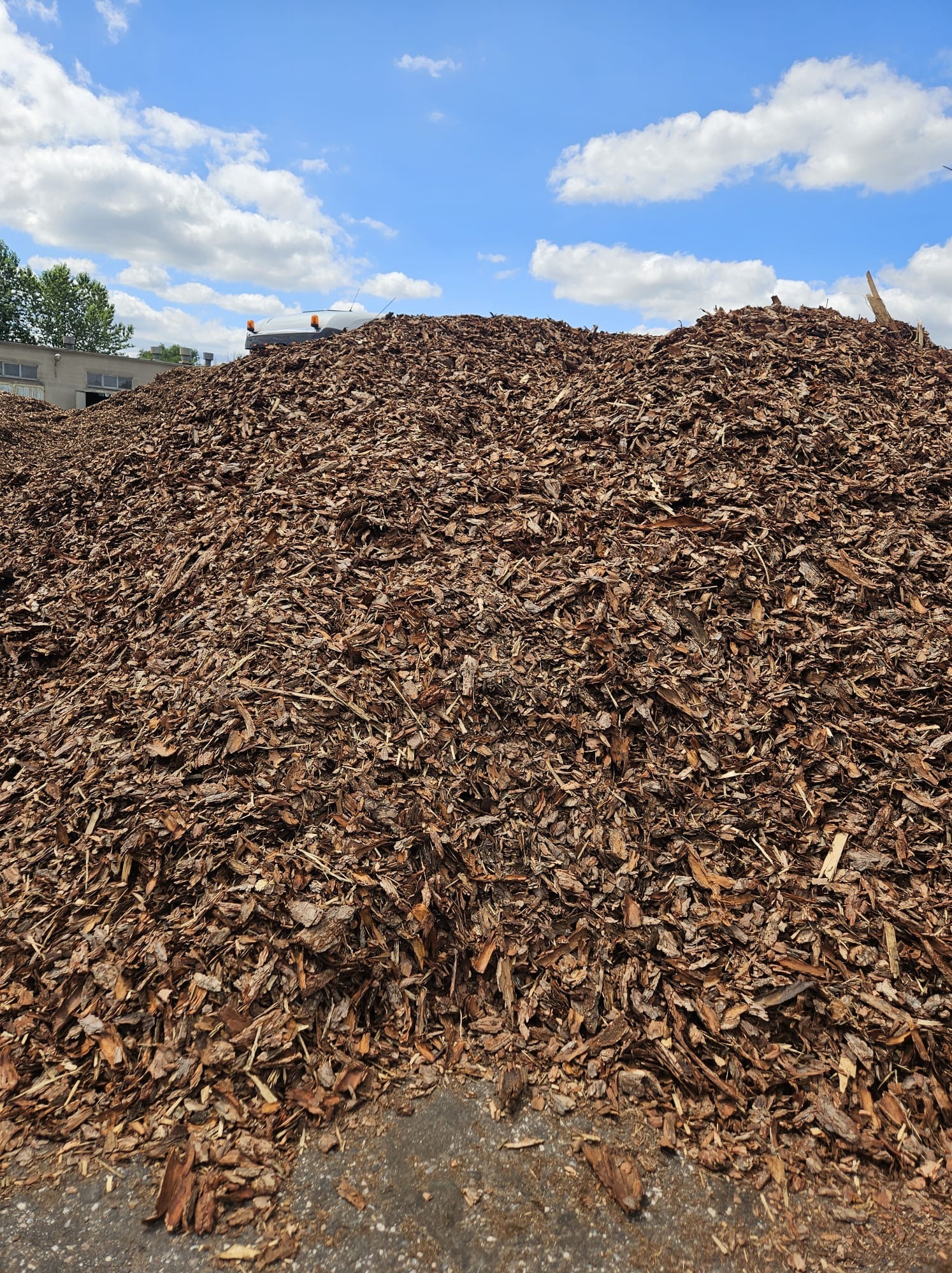 Duża pryzma brązowych zrębków drzewnych pod błękitnym niebem z białymi chmurami, widoczny budynek magazynowy w tle.