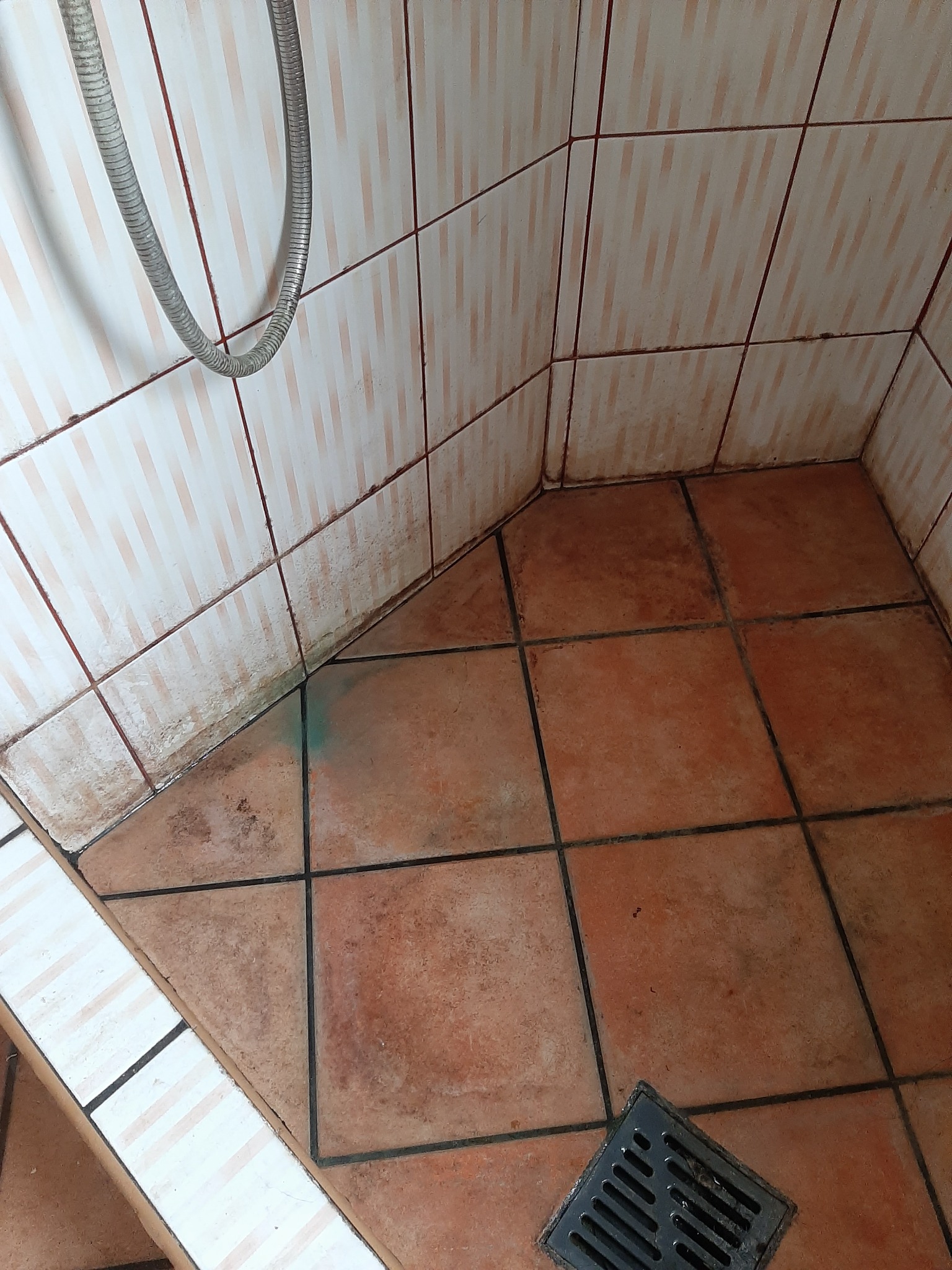 Brudna kabina prysznicowa z terakotową podłogą i zagrzybionymi fugami na ścianach, widoczny odpływ i wąż prysznicowy.
