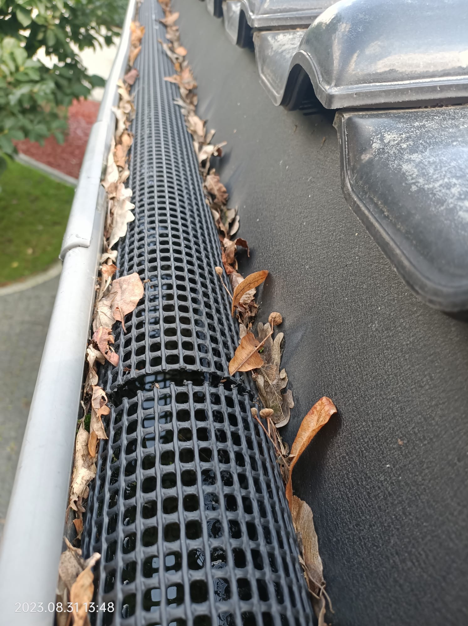 Zablokowana rynna z czarną siatką ochronną, wypełniona suchymi liśćmi na tle czarnej dachówki i fragmentu trawnika.