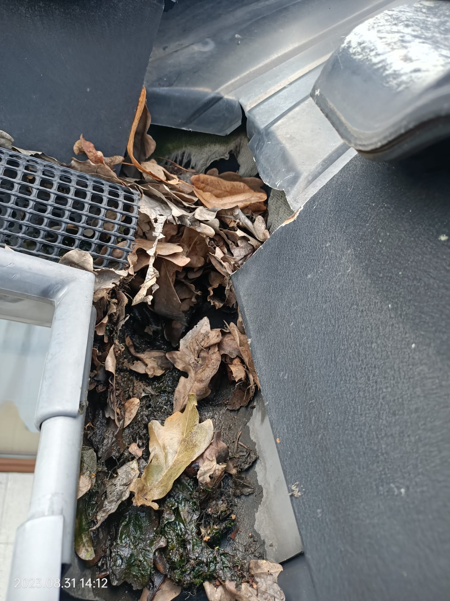 Zatkana rynna dachowa, pełna mokrych liści i brudu, widoczna kratka zabezpieczająca w rogu oraz fragment dachu z ciemną dachówką.