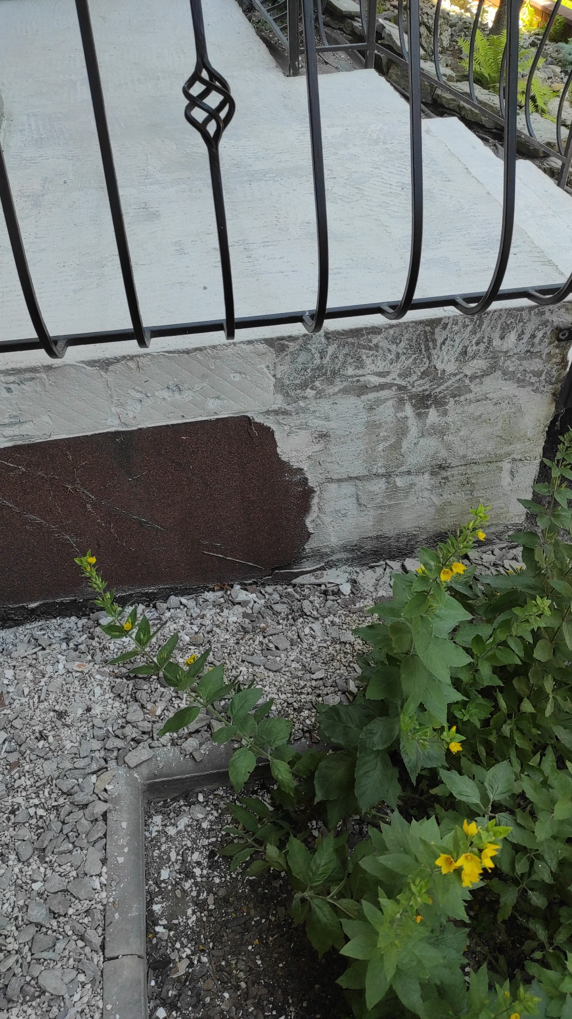 Fragment elewacji budynku z widocznym uszkodzeniem warstwy wykończeniowej, odsłaniającym ciemniejszą warstwę pod spodem, metalowe ogrodzenie i roślinność z żółtymi kwiatami.