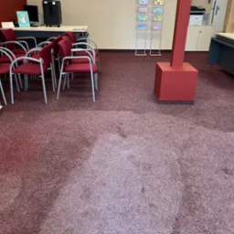 Częściowo wyczyszczony, bordowy dywan w biurze z krzesłami i biurkami, widoczne mokre plamy po praniu.