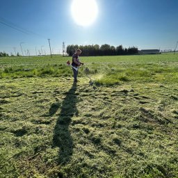 Maciej krypciak - Mężczyzna w polu, w słoneczny dzień, używa podkaszarki spalinowej do cięcia wysokiej trawy. W tle widoczne drzewa i słupy energetyczne.