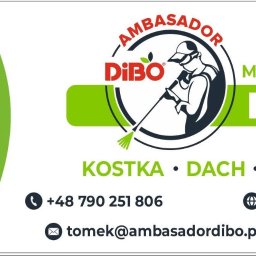 Mycie kostki brukowej - avatar