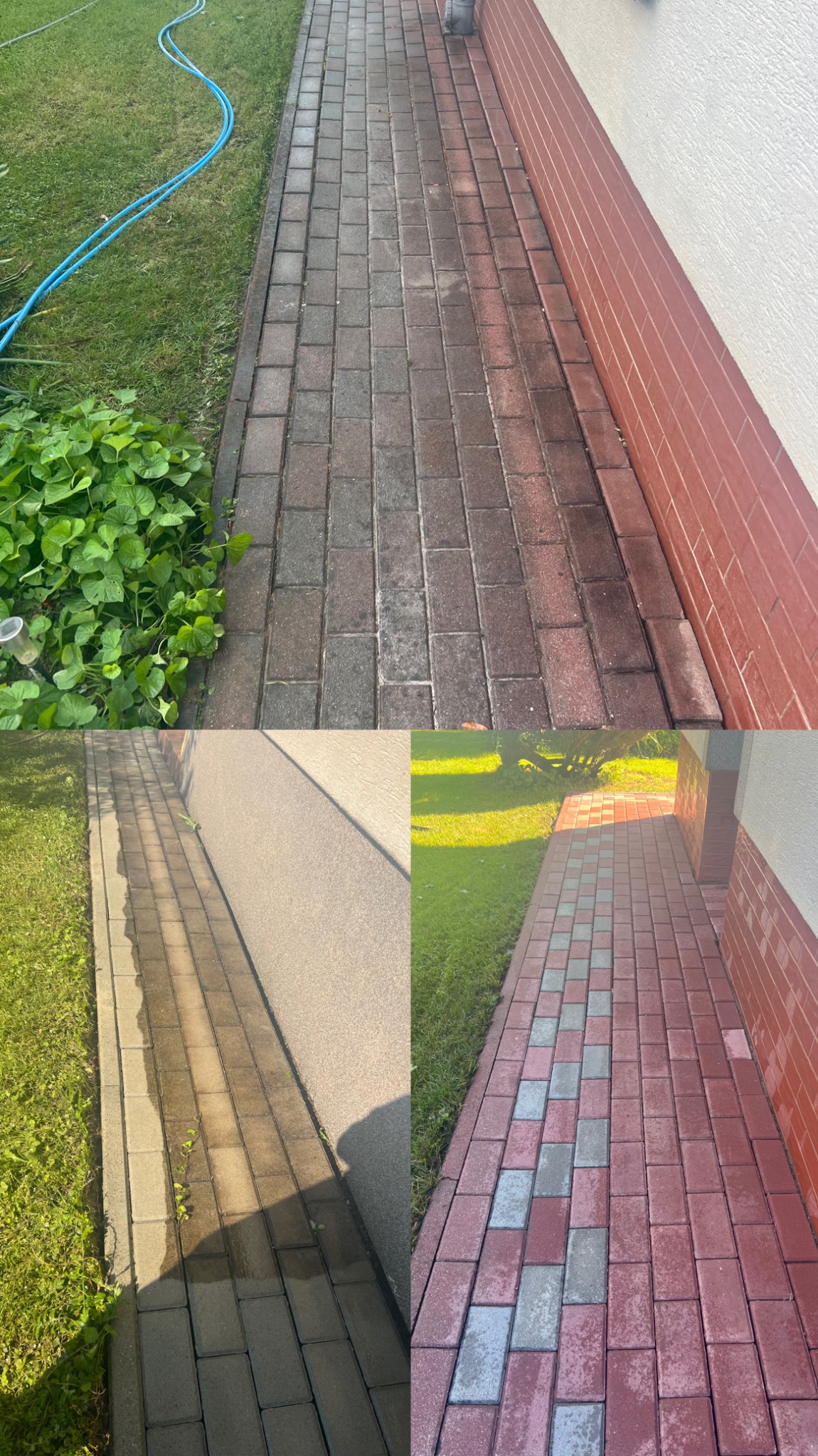 Porównanie stanu kostki brukowej przed i po czyszczeniu: brudna, szara kostka obok czystej, czerwonej kostki, widoczny wąż ogrodowy i roślinność.