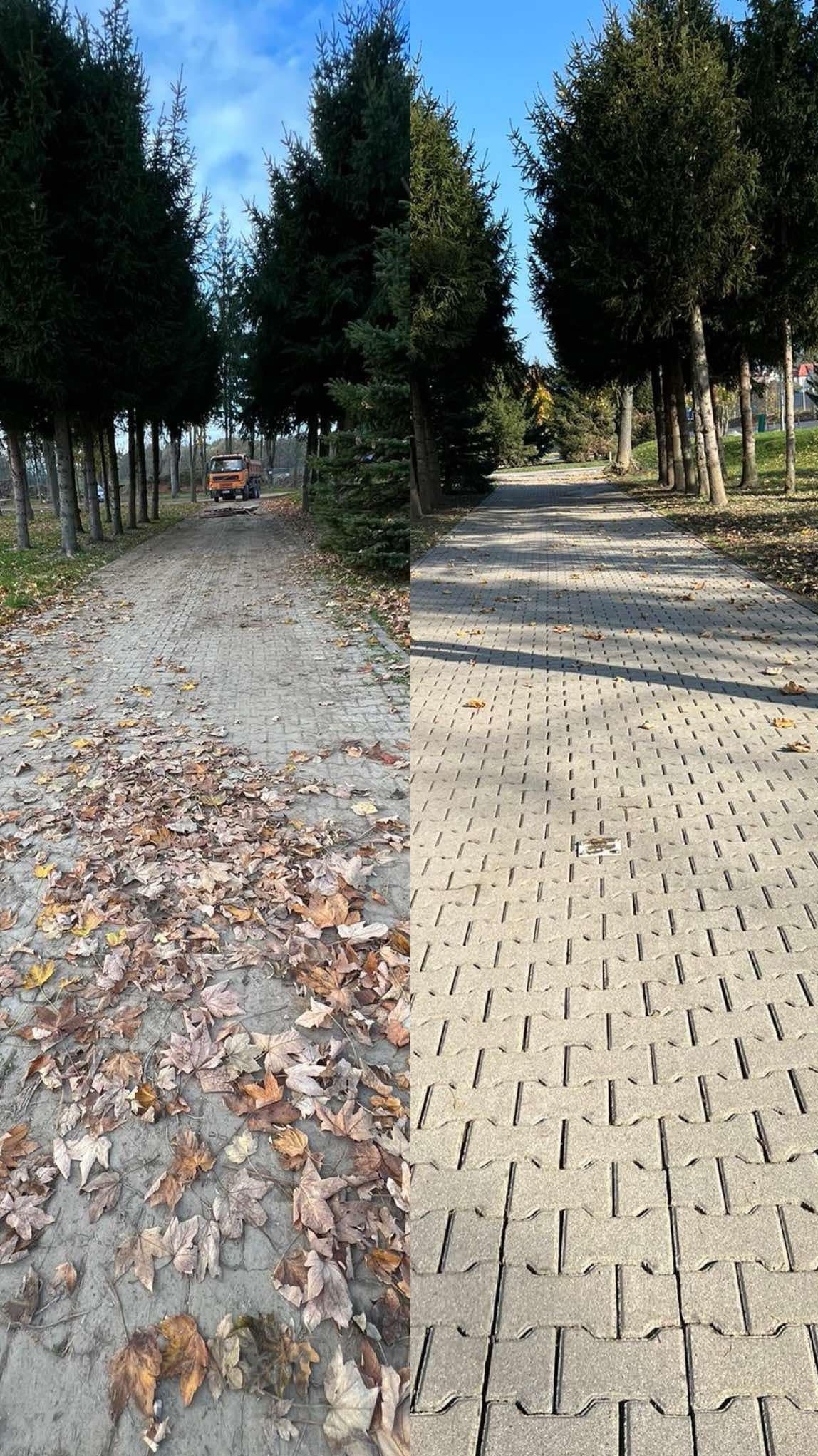Porównanie kostki brukowej przed i po czyszczeniu: lewa strona z liśćmi, prawa czysta, w tle rząd drzew i pomarańczowy samochód.