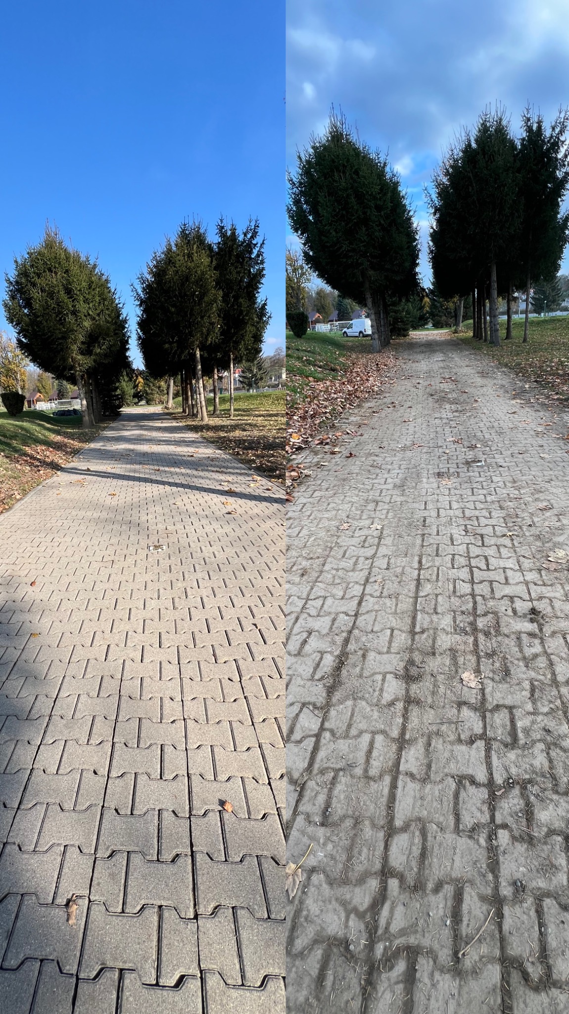 Porównanie kostki brukowej przed i po myciu: lewa strona czysta, prawa zabrudzona, aleja z drzewami w tle.