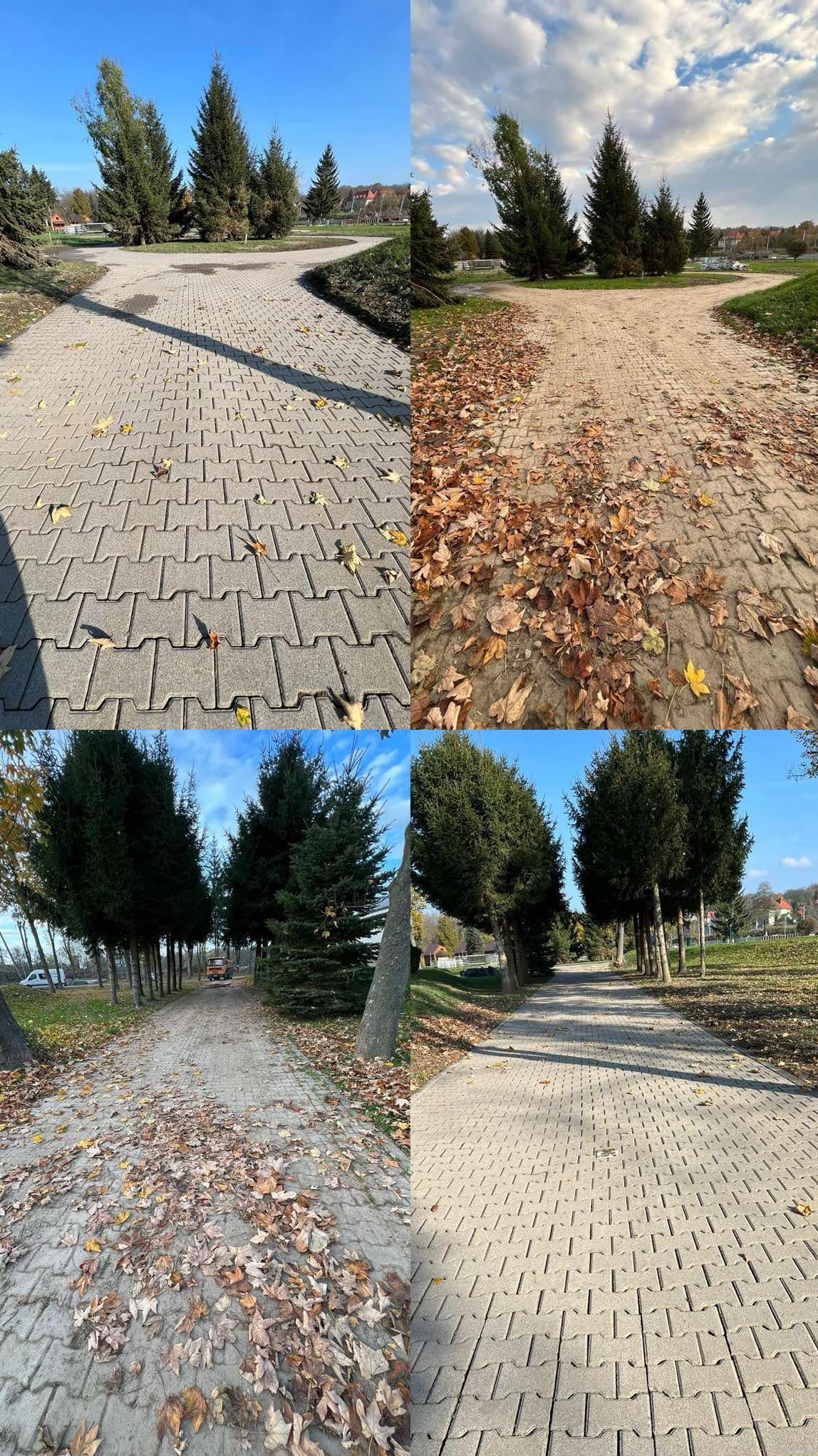 Porównanie stanu kostki brukowej przed i po czyszczeniu, widoczne liście na części powierzchni, otoczenie parkowe.