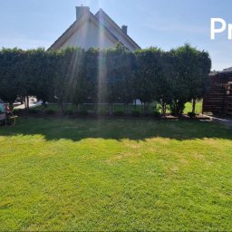 Power Garden - Zdjęcie ukazuje zadbany ogród przed wykonaniem prac, widoczny trawnik, rząd strzyżonych drzew iglastych oraz drewniana altana z kwiatami.