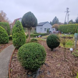 Power Garden - Formowane krzewy i drzewa iglaste w ogrodzie, widoczni pracownicy w trakcie wykonywania prac pielęgnacyjnych, ścieżka z obrzeżem z cegieł.