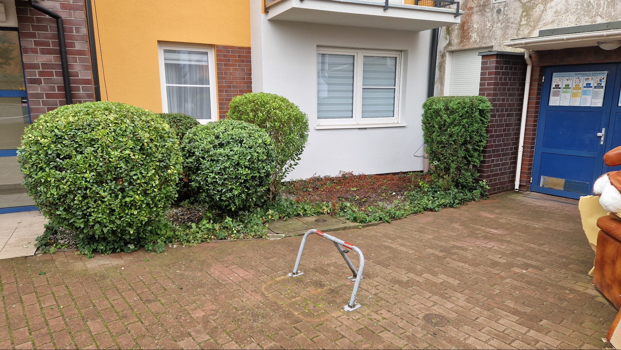 Kształtne, kuliste krzewy przed budynkiem mieszkalnym, z widoczną kostką brukową i elementami architektury.