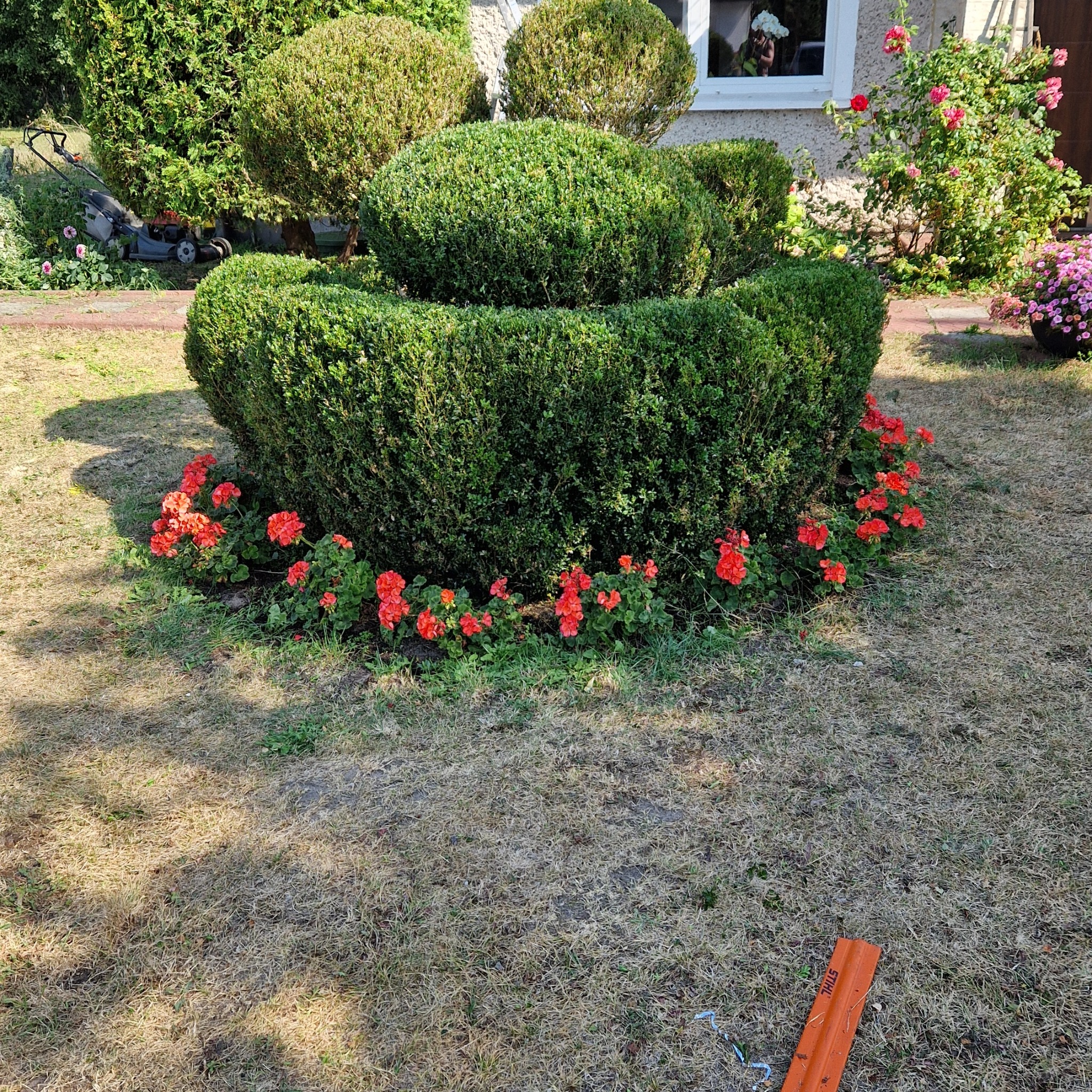 Krzew ozdobny uformowany w dwupoziomową konstrukcję, otoczony czerwonymi kwiatami, z kosiarką widoczną w tle i elementem narzędzia Stihl na pierwszym planie.
