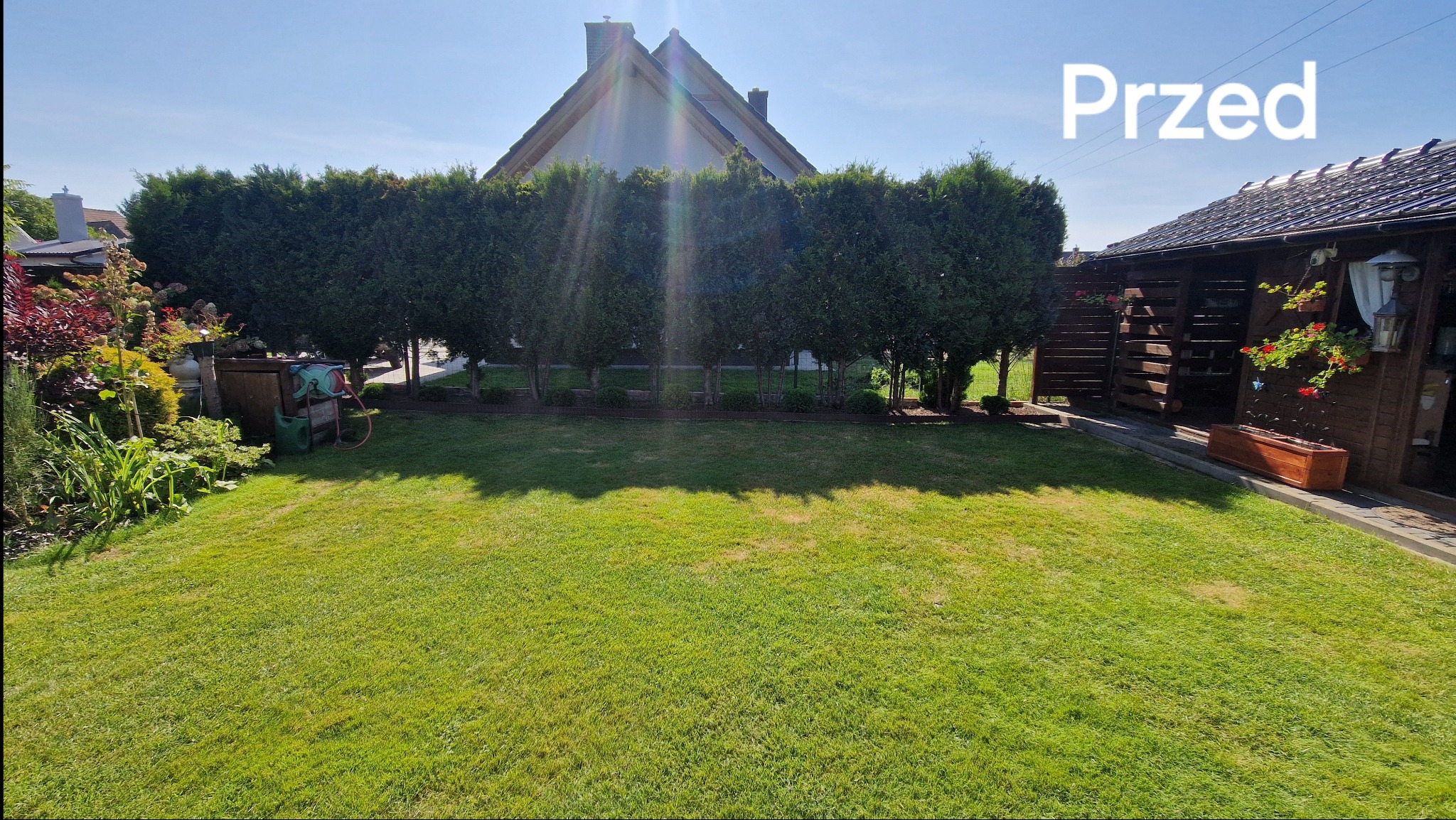 Zdjęcie ukazuje zadbany ogród przed wykonaniem prac, widoczny trawnik, rząd strzyżonych drzew iglastych oraz drewniana altana z kwiatami.