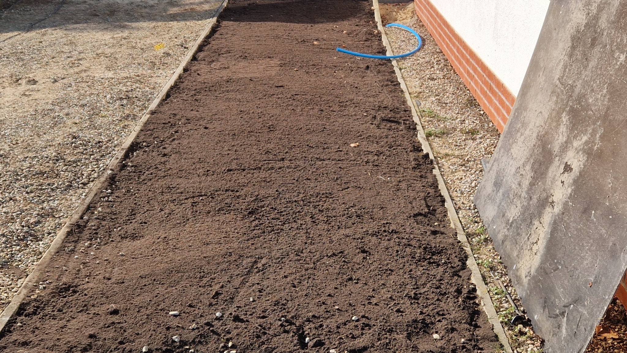 Przygotowany pod zasiew pas ziemi w ogrodzie, obramowany drewnianymi krawężnikami, z widocznym fragmentem węża ogrodowego i płytą z boku.