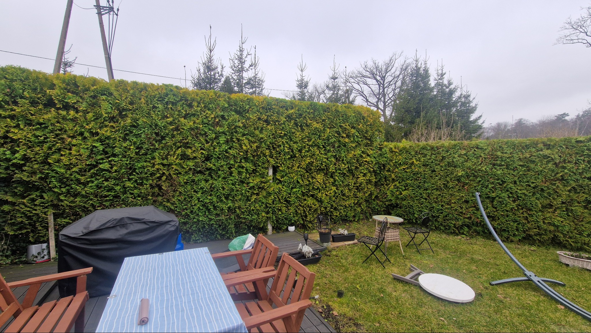 Równomiernie przycięty, wysoki żywopłot z tui w ogrodzie, widoczny z drewnianego tarasu z meblami ogrodowymi pod pochmurnym niebem.