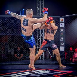 sesja sportowa the warriors mma3