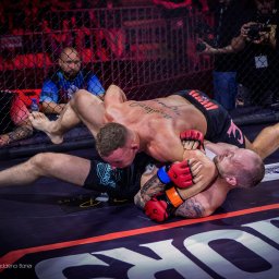 sesja sportowa the warriors mma3