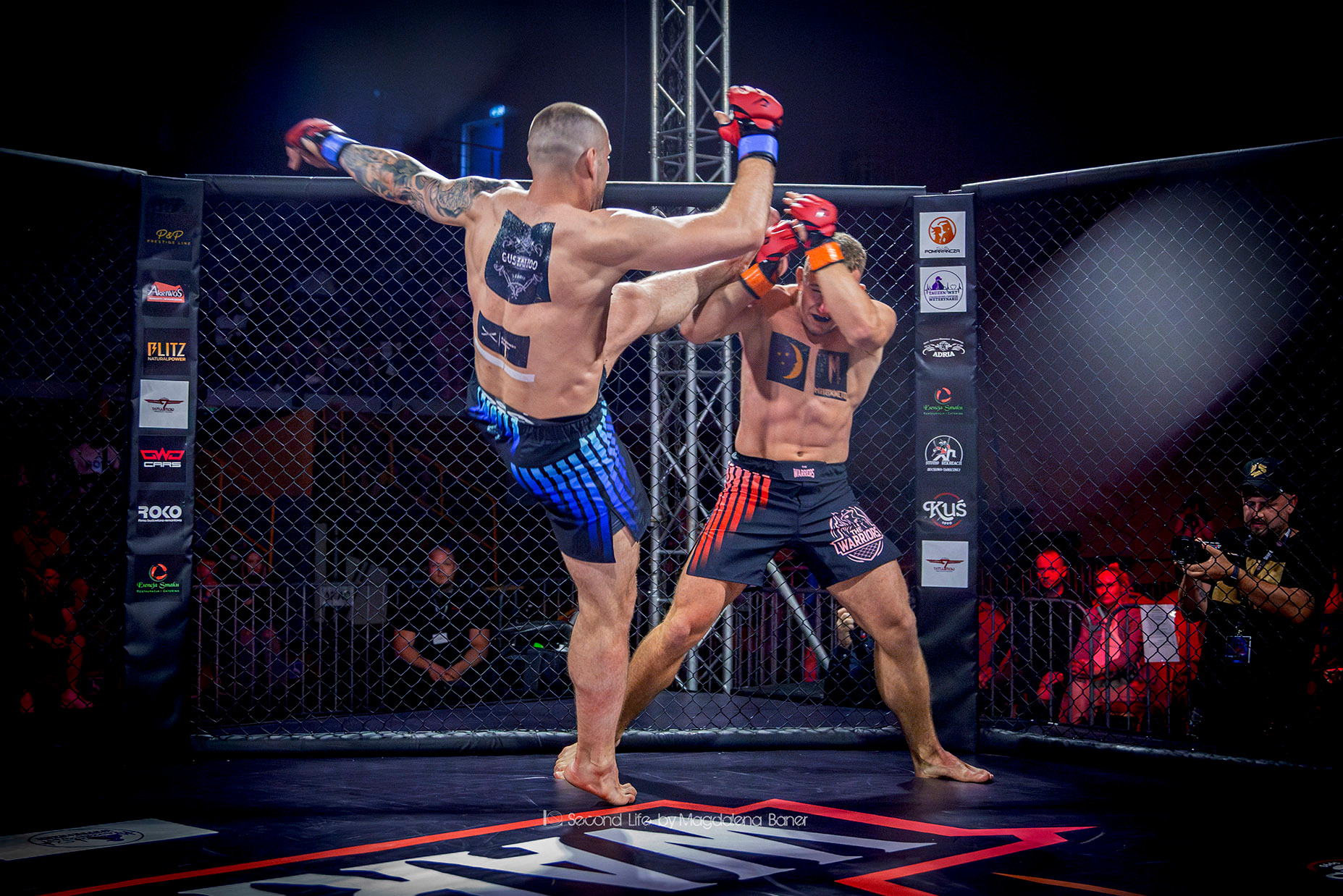 sesja sportowa the warriors mma3