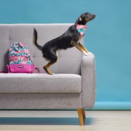 MRZ MARCIN RZEŹNICZEK - Realizacja billboardu sponsorskiego dla marki Bylabel.