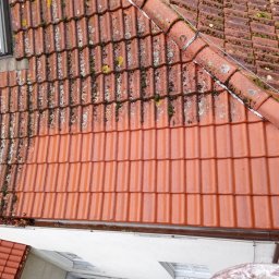 Hydro - Częściowo wyczyszczony dach z czerwonej dachówki, z widocznymi śladami mchu i porostów na nieoczyszczonej części, okno dachowe w lewym górnym rogu.