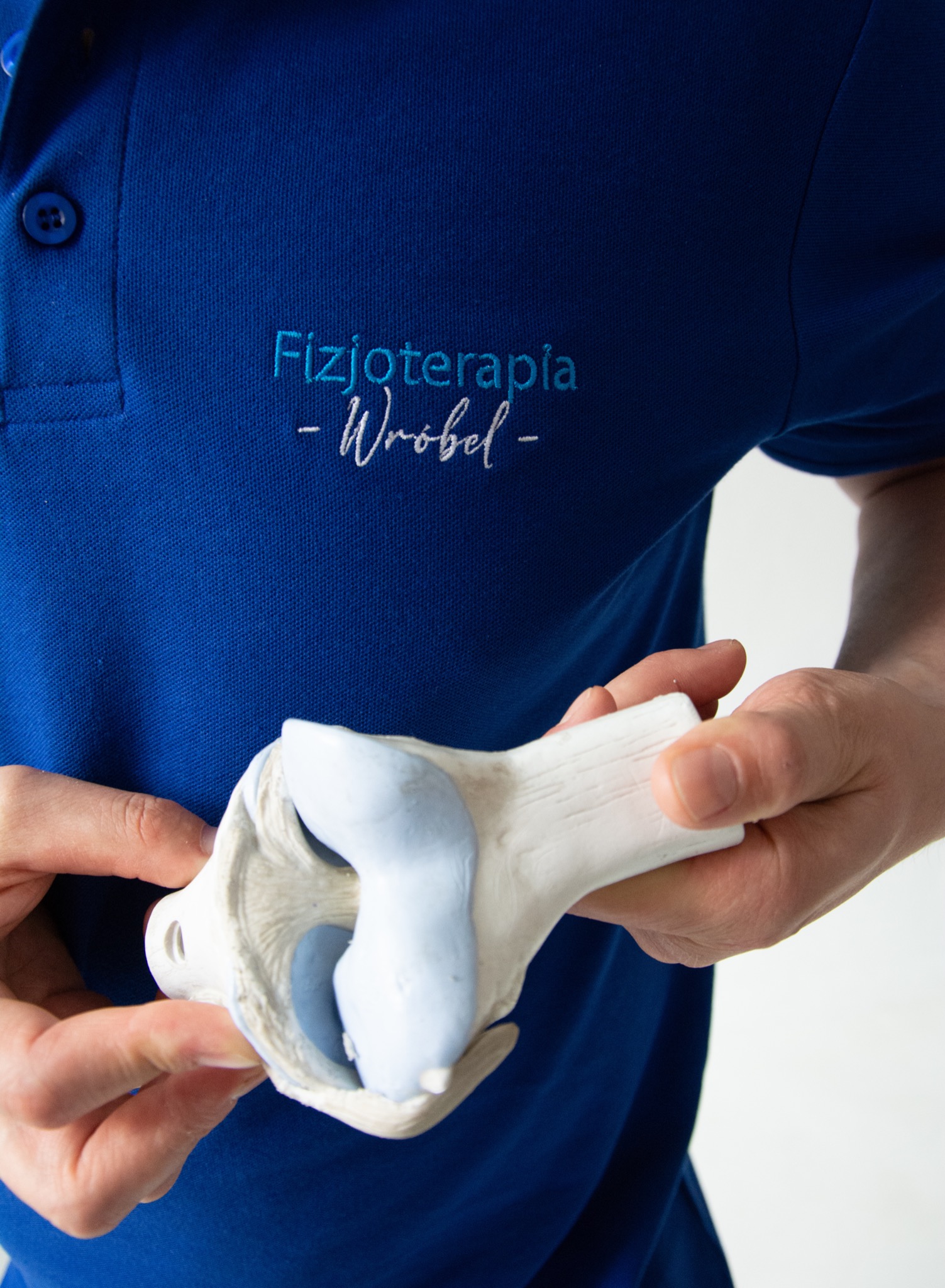 Osoba w niebieskiej koszulce polo z haftowanym napisem 'Fizjoterapia - Wróbel -' trzyma model stawu kolanowego w dłoniach.