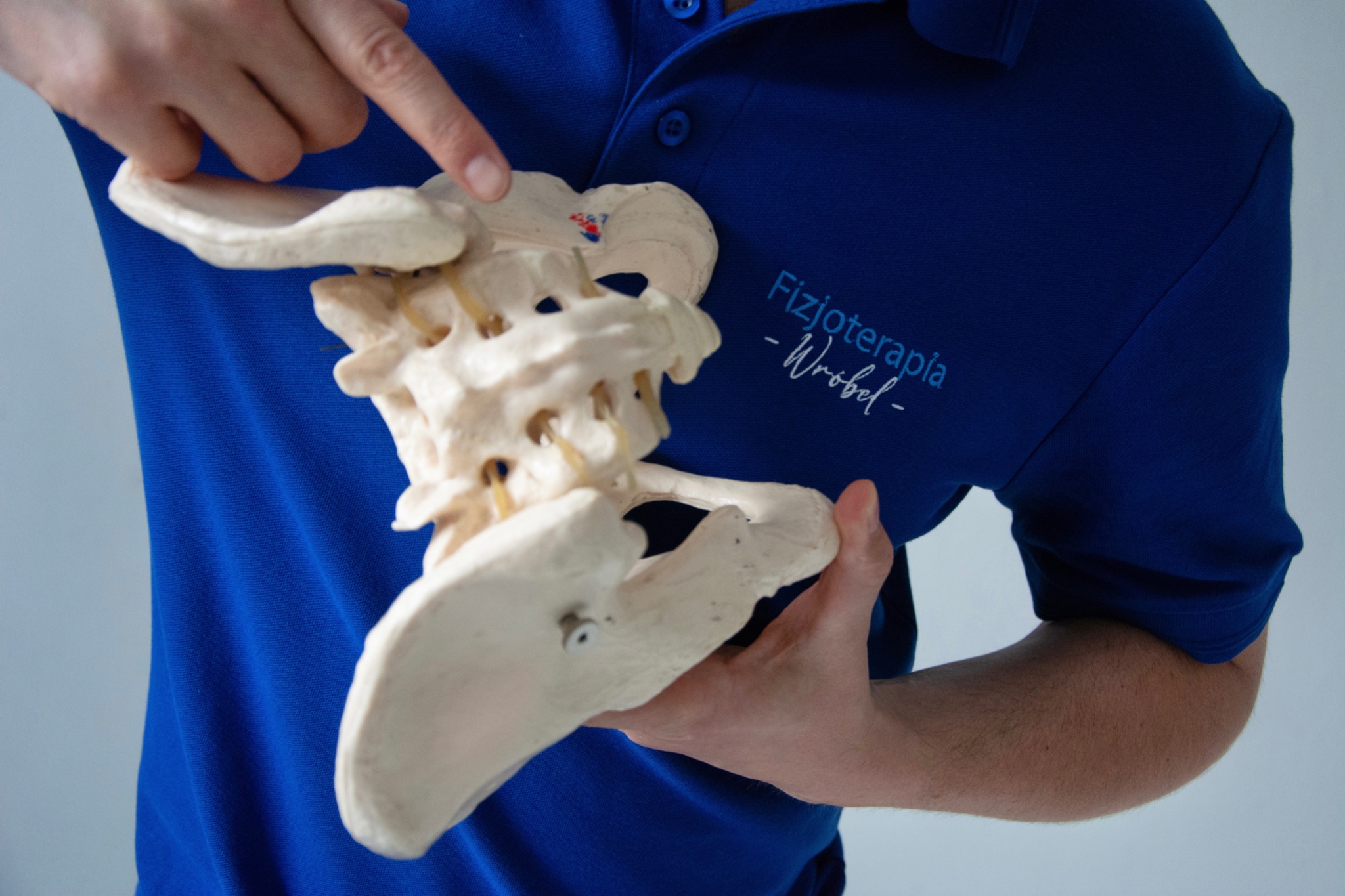Model kręgosłupa lędźwiowego trzymany przez osobę w niebieskiej koszulce z napisem 'Fizjoterapia - Wróbel', palec wskazujący na kość krzyżową.