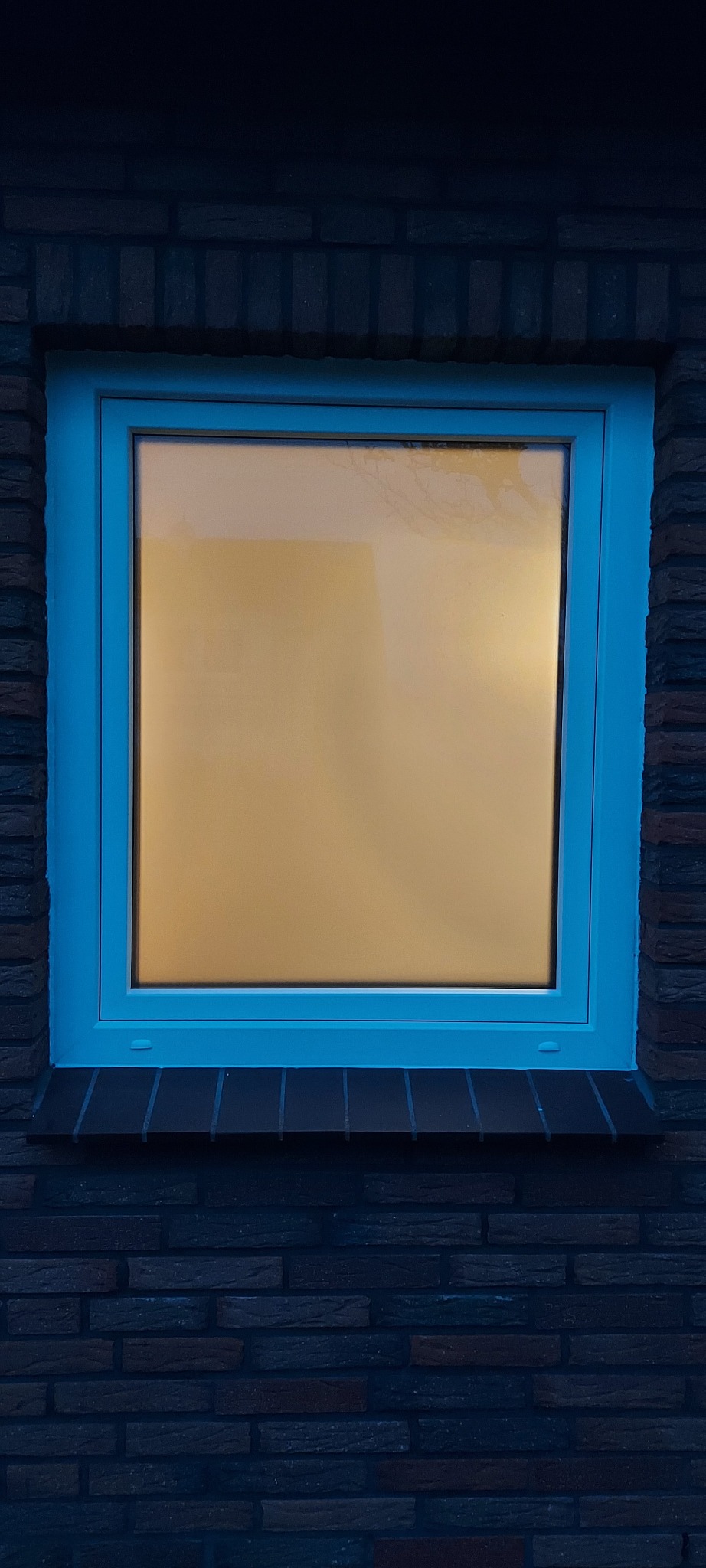 Zamknięte okno z jasną szybą w niebieskiej ramie, osadzone w ciemnej, ceglanej ścianie zewnętrznej budynku.