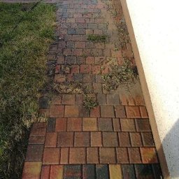 MK Washing - Częściowo umyta, wielobarwna kostka brukowa sąsiadująca z trawnikiem i ścianą. Widoczna różnica w czystości kostki, sugerująca etap mycia.