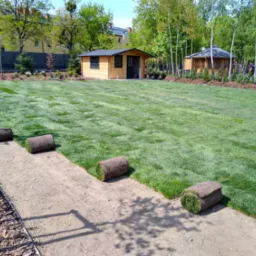 Rozwinięty trawnik z rolki z widocznymi rolkami trawy na przygotowanym podłożu, w tle domek narzędziowy i altana ogrodowa.