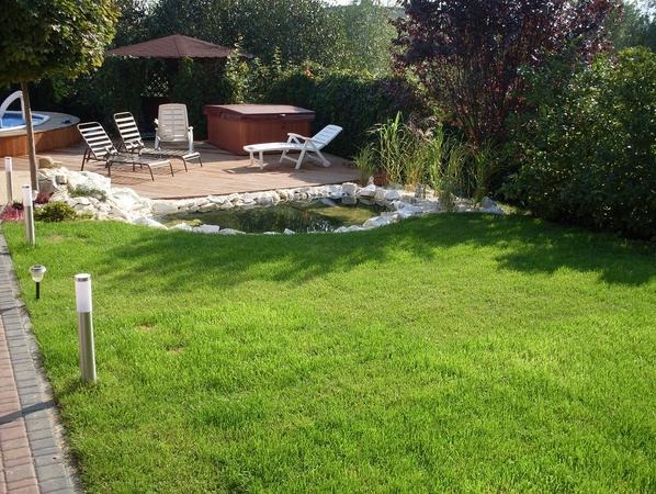 Trawnik z rolki i oczko wodne