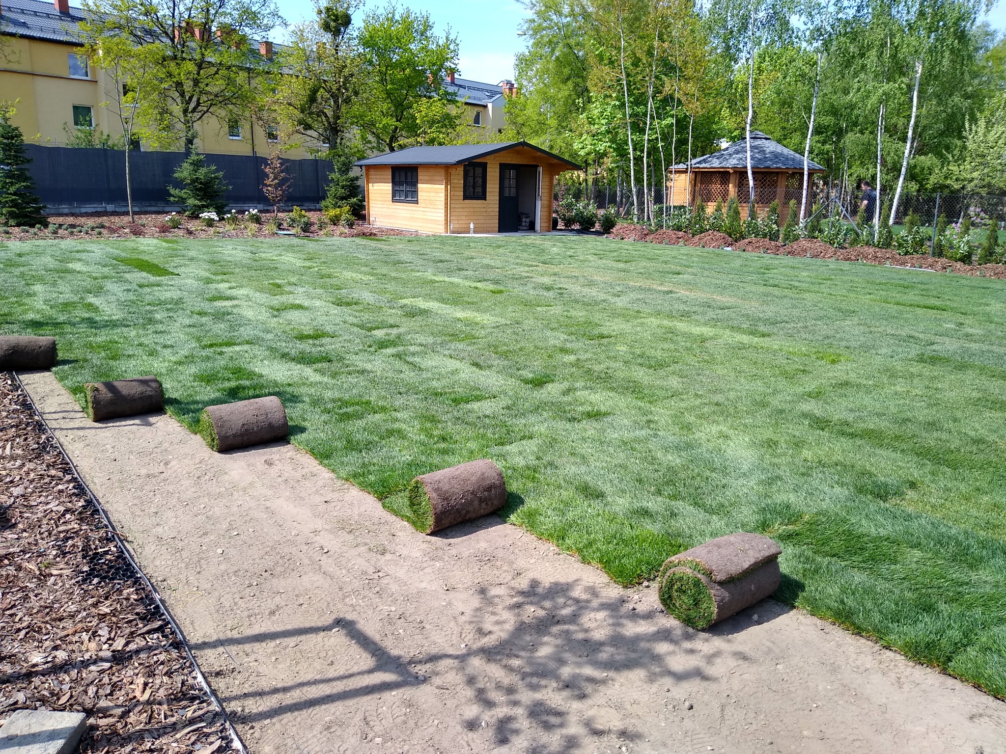 Rozwinięty trawnik z rolki z widocznymi rolkami trawy na przygotowanym podłożu, w tle domek narzędziowy i altana ogrodowa.