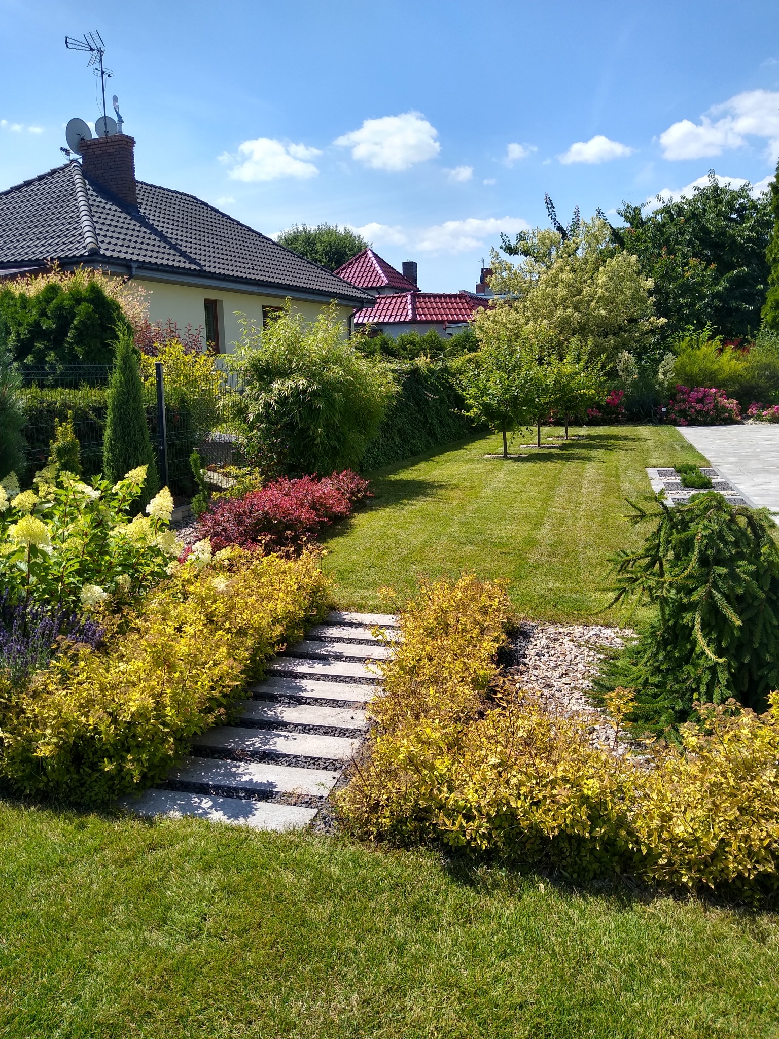 Ujęcie na zadbany ogród z równo przystrzyżonym trawnikiem, ścieżką z betonowych płyt oddzielonych żwirem, rabatami z kwitnącymi krzewami i drzewami w tle, w słoneczny dzień.