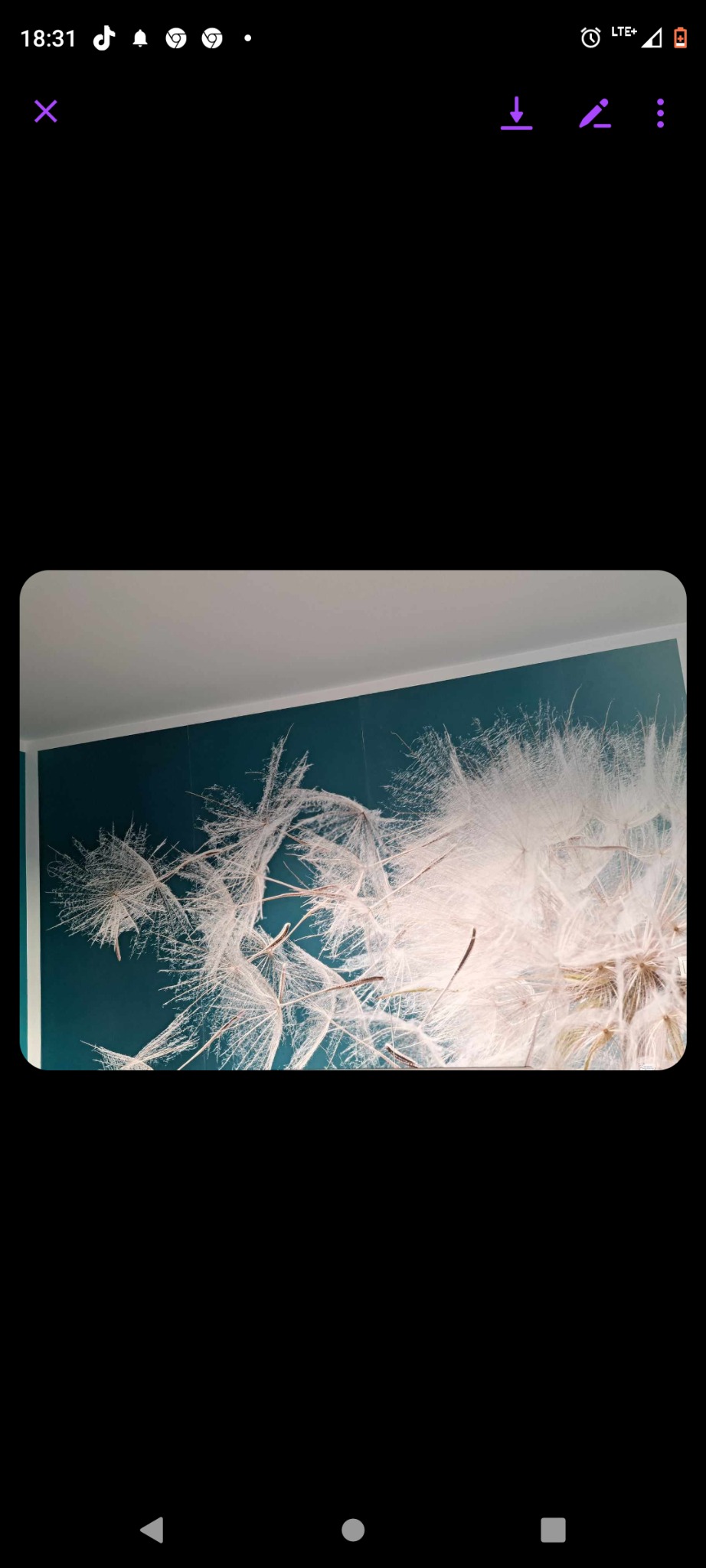 Dekoracyjny motyw dmuchawca na ścianie w kolorze morskim, widoczne delikatne włókna i nasiona.