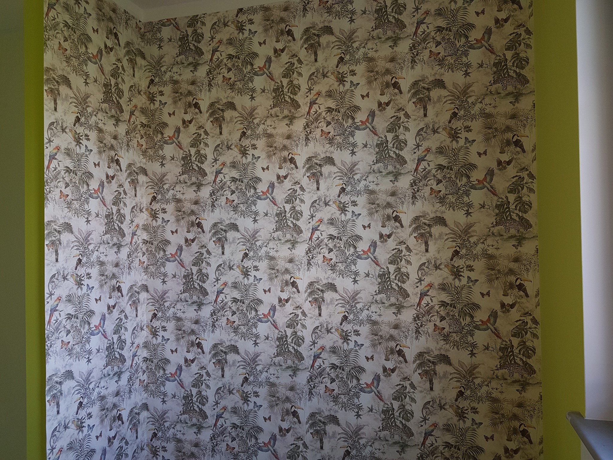 Ściana pokryta tapetą w motywy tropikalne: papugi, motyle, roślinność, z fragmentami zielonej i białej ściany po bokach.