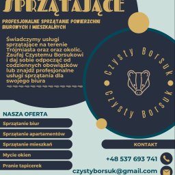 Sprzątanie Gdańsk 2