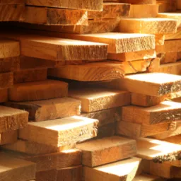 Stos desek z jasnego drewna ułożonych warstwami, oświetlonych ciepłym światłem słonecznym, widoczne słoje i struktura drewna, niektóre deski z drobnymi zabrudzeniami.