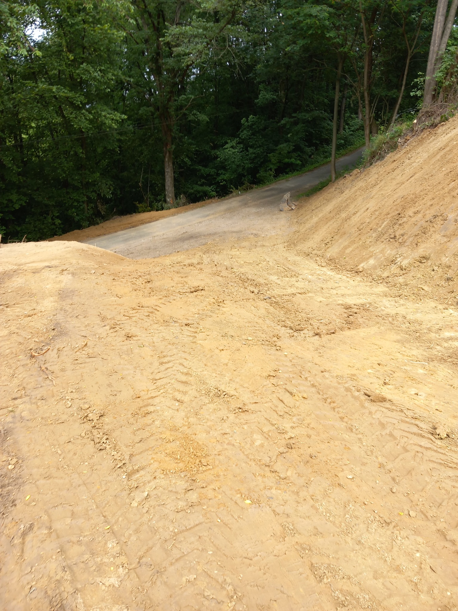 Ukształtowany teren z wyraźnymi śladami opon maszyn budowlanych, przylegający do leśnej drogi pod górę.