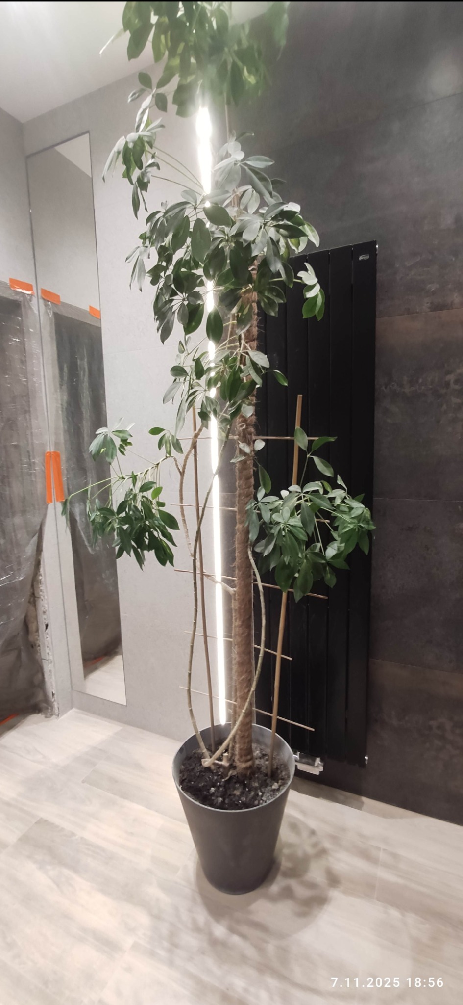 Wnętrze łazienki w trakcie remontu: zabezpieczone folią lustro, grzejnik drabinkowy i roślina doniczkowa. Widoczne płytki podłogowe i fragment ściany z ciemnymi płytkami.