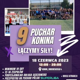 Tworzenie stron internetowych Konin 3