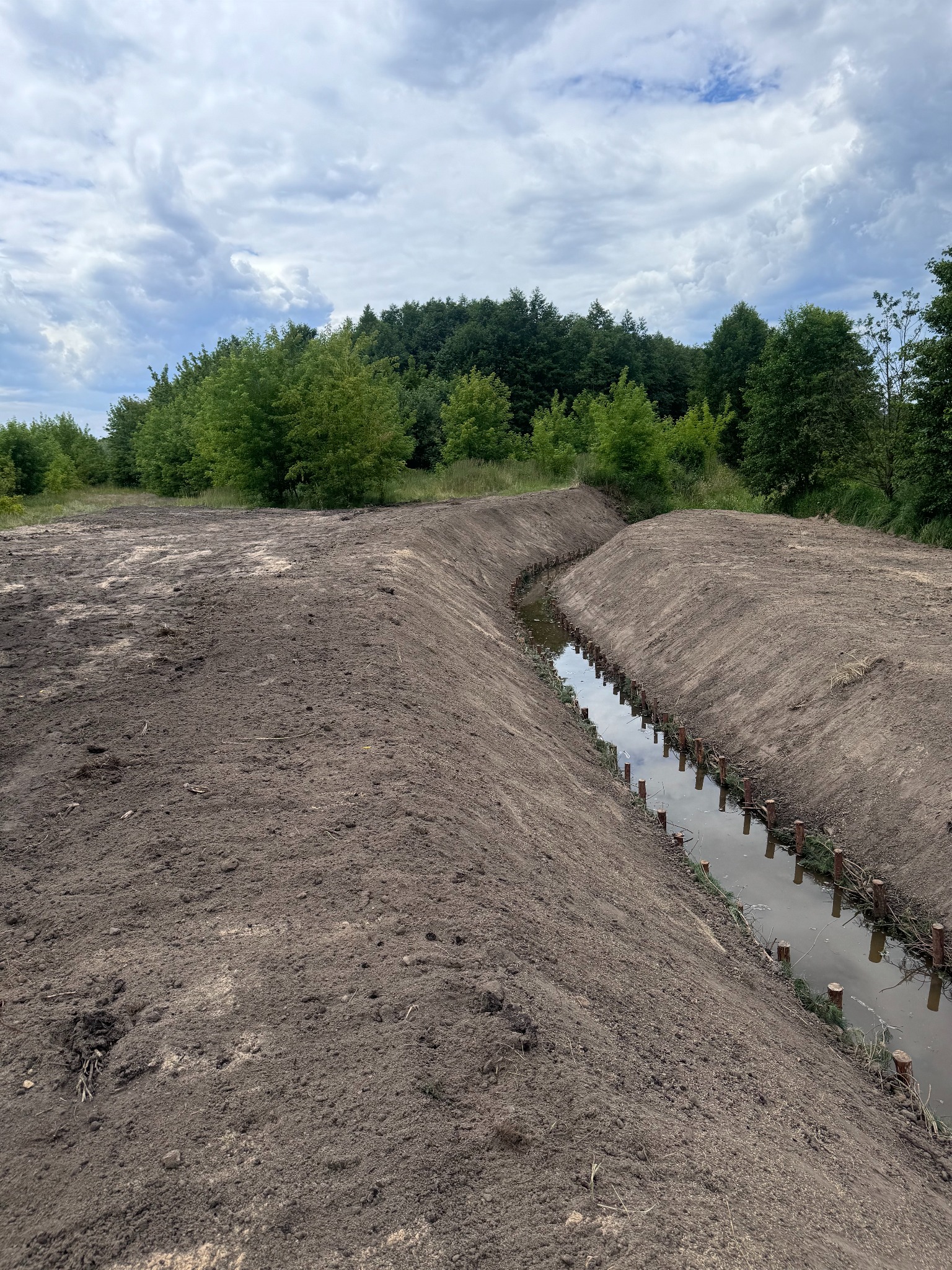 Wykopany rów melioracyjny z drewnianymi palikami wzmacniającymi brzegi, częściowo wypełniony wodą, na tle zieleni drzew i pochmurnego nieba.