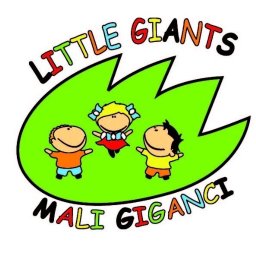 Niepubliczne Przedszkole i żłobek Montessori, Little Giants-Mali Giganci - Żłobek Na Godziny Jastrzębie-Zdrój