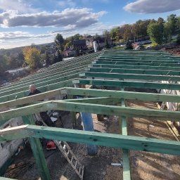 Furious-Bud - Konstrukcja dachu w trakcie budowy, widoczne zielone drewniane belki, drabina, narzędzia i pracownik w tle na tle błękitnego nieba z chmurami.