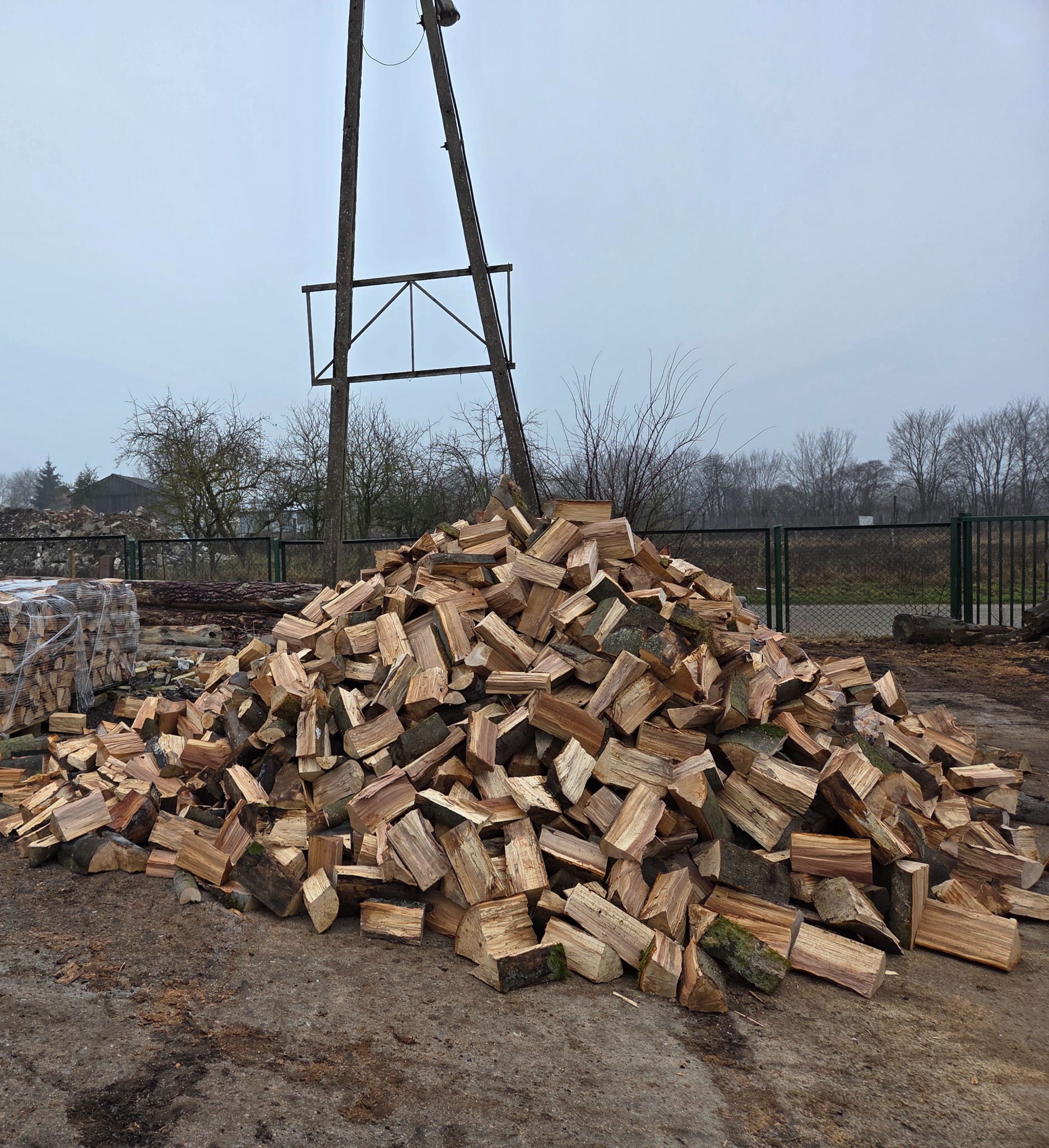 Stos pociętego drewna opałowego na placu składowym, w tle ogrodzenie z siatki i słup energetyczny z metalową konstrukcją. Część drewna spakowana w przezroczystą folię.